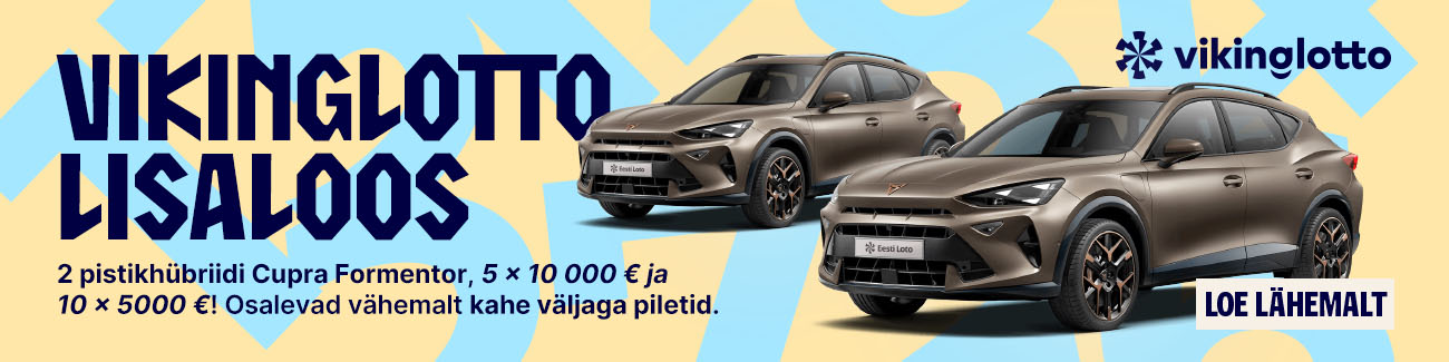 viking2025_game_est viking2025_game_est